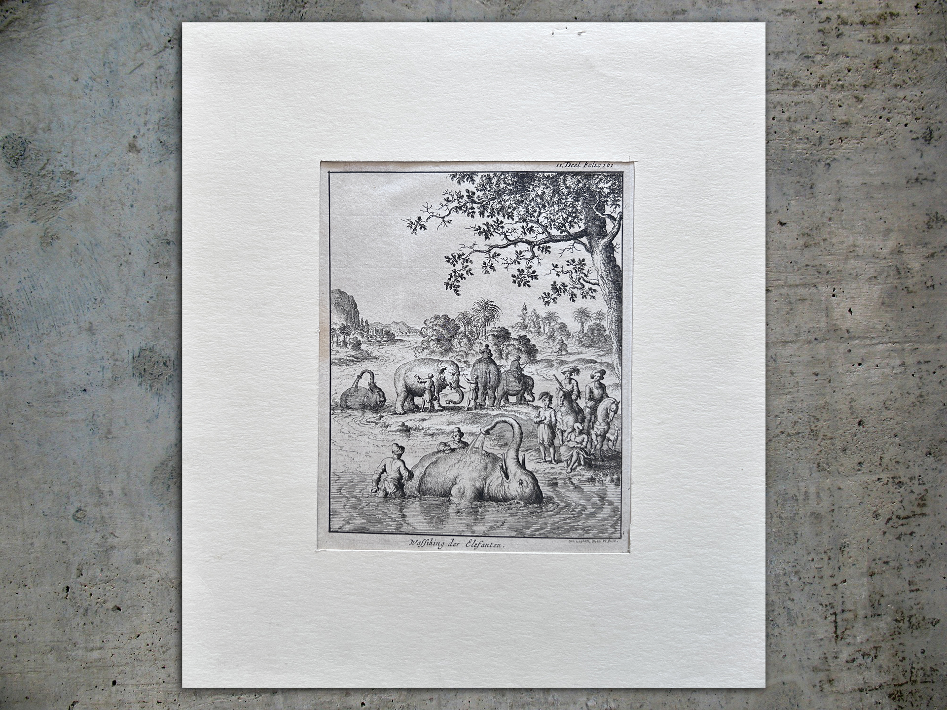 Gravure hollandaise du XVIIIe siècle Wassching der Elefanten